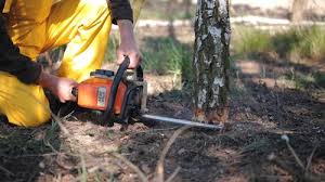 Best Aeration Services  in Mountain View, CA