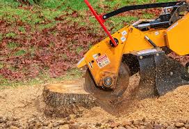 Best Lawn Maintenance Plans  in Mountain View, CA